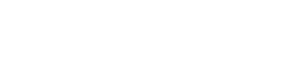 Logo Cleverkeen